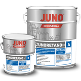 Junoretano 2K Polyurethane Enamel Paint